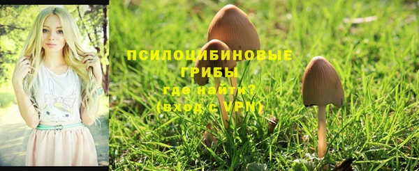 соль ск Абдулино