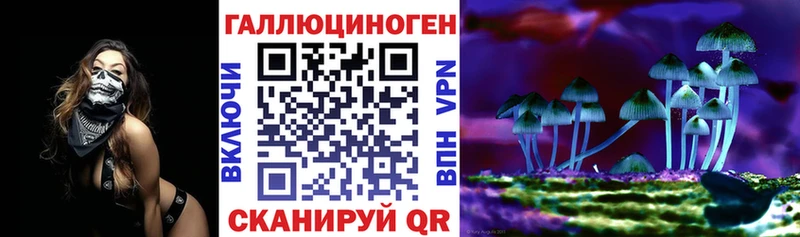 площадка формула  Сурск  Псилоцибиновые грибы ЛСД 