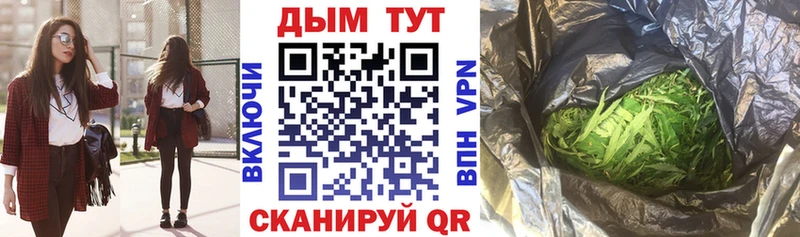 Шишки марихуана сатива Сурск